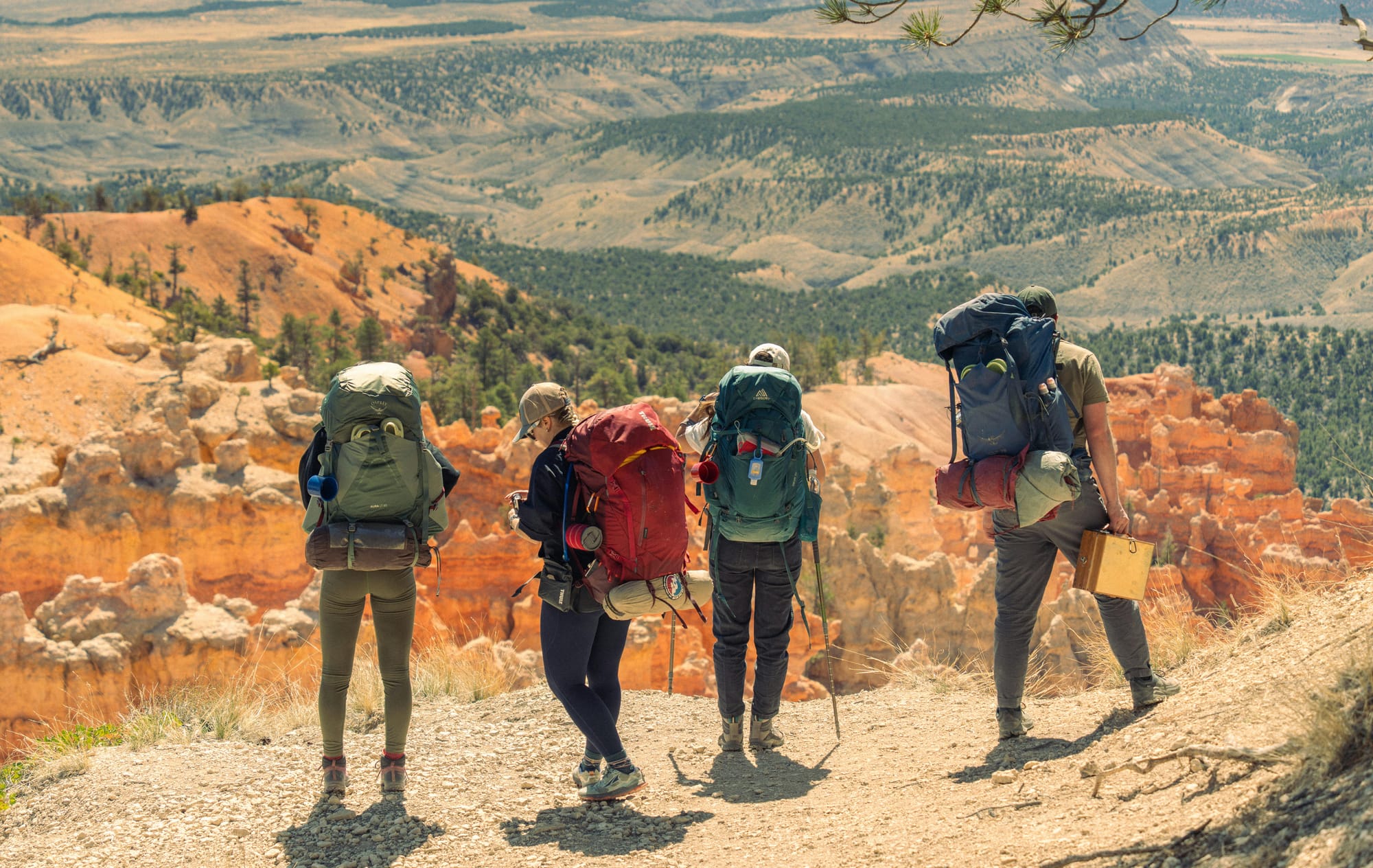 Unveiling 2026's Budget Backpacking Hotspots